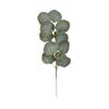 Nuevo Estilo Mori Arreglo Floral de Boda Decoración de Pared de Plantas Accesorios Hojas de Eucalipto Pequeñas Hojas de Eucalipto Individuales con Fruto
