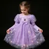 Vestido de Princesa Elsa Nuevo Vestido de Primavera y Otoño para Niñas Vestido Elsa de Palacio con Lentejuelas de Princesa de Hielo