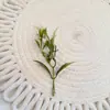 Plantas Aquáticas Artificiais e Acessórios Verdes, Acessórios de Folhas de Plantas Falsas, Materiais DIY para Paisagismo, Decoração de Broche de Eucalipto de Três Galhos