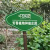 Horta Externa Flor e Planta Jardim de Infância Jardim Plantio Solo de Jardim Placa de Madeira Placa de Madeira Gravada Personalização