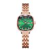 Reloj Aoroshi para Mujer Cuadrado Pequeño Pequeño y Exquisito Nicho Lujo Ligero Alto Sentido Nuevo Reloj de Cuarzo para Mujer 2023