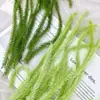 Venda Direta de Fábrica de Grama Cauda de Cachorro Yuxin para Decorações de Eventos em Grandes Shoppings, Decorações de Parede de Plantas para Casamentos, Penduricalhos no Atacado