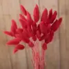 Comércio eletrônico transfronteiriço comércio exterior Amazon cor flor seca rabo de coelho grama atacado diy pequeno buquê vaso buquê