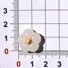 Juguete de Comida Colorido 3D Simulado Calabaza Accesorios de Resina DIY Pegamento de Crema Funda de Teléfono Pasador Calcomanías para Tazas