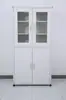 Gabinete de Acero para Reactivos de Doble Puerta Personalizado Gabinete de Limpieza de Cristalería Gabinete de Refrigeración para Medicamentos Muebles de Laboratorio Gabinete para Muestras
