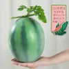 Melancia Artificial Melancia Falsa Modelo de Fruta Brinquedo Adereço Black Beauty Melão Kirin Melancia Grande Decoração de Loja de Frutas