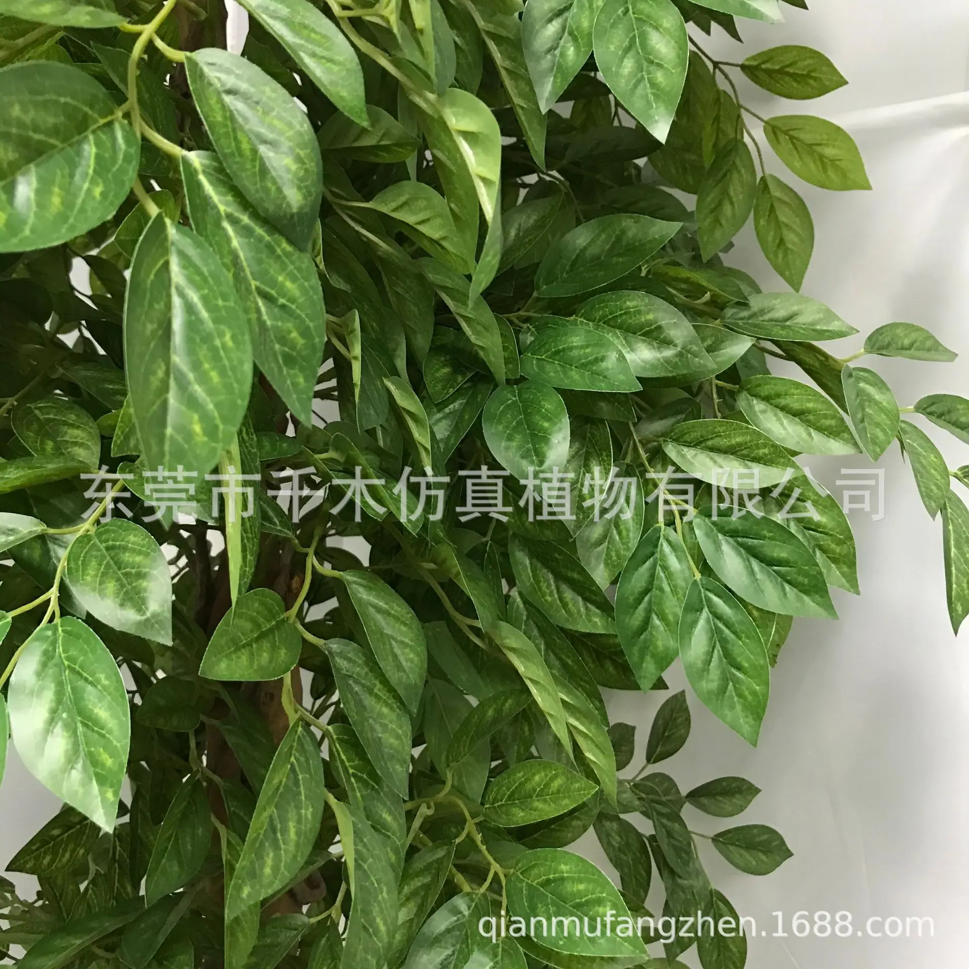 微信图片_2021052809445311