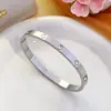 Pulseira de Aço Titânio Prata Feminina Anel de Zircônia de Alta Qualidade Joia de Mão Pulseira Prata Pulseira de Corda Pulseira Atacado