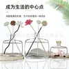 Frasco Transparente de Vidro Quadrado Plano para Aromaterapia para Quarto e Banheiro, Frasco Vazio Difusor de Varetas para Perfume, Frasco de Fragrância de Forma Irregular para Uso Doméstico
