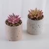 Vaso de Flor Cerâmico Cilíndrico Personalizado Meio Esmalte Speckle Barato Atacado Decoração de Jardinagem Vaso de Flor Suculenta Casamento Decoração de Casa Vaso de Flor Cerâmico