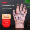 Mão acuponto modelo massagem palma dorso da mão área reflexa dedo cuidados com a saúde 17cm ensino simulação mão acuponto molde diagrama
