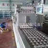 Máquina Empacadora al Vacío Automática Tipo 520 Máquina Empacadora con Película Elástica Fábrica