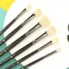 Caneta em forma de leque Haste verde Haste azul Haste preta Juba de porco em forma de leque caneta de pintura a óleo caneta aquarela giz de água pintura conjunto único