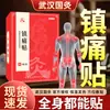 Moxibustión China Moxibustión China Wuhan Moxibustión Moxa Acupuntura Niños Adultos Sensación Analgésica Shu Cintura Shu Tongshu Keshu Punto de Acupuntura Moxibustión Pasta de Moxibustión