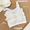 Ropa interior para adolescentes de segunda etapa, chaleco para la etapa de desarrollo de estudiantes de secundaria, sujetador transpirable tipo panal anti-golpes para niñas de secundaria