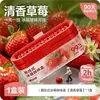 Artículo Popular de Tiktok Desodorizante para Refrigerador Caja Desodorizante Colgante Purificador Antibacteriano de Olores de Comida para el Hogar