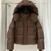 Chaqueta corta de algodón con relleno de plumón para mujer, mismo estilo otoño e invierno, nueva versión coreana de invierno 2025, abrigo acolchado holgado y engrosado
