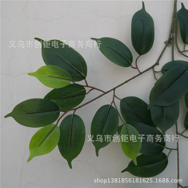 QQ图片20180428151145.jpg
