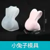 Polvo de Yeso Modelo al por Mayor y Menor, Polvo de Yeso para Muñecas, Polvo de Yeso para Aromaterapia Plus Blanco Plus Polvo de Yeso Duro