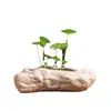 Pedra artificial não porosa cobre capim-dinheiro tamanho especial vaso de cerâmica para flores vaso para bonsai doméstico narciso recipiente para cultura em água liquidação atacado