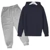 Sudadera de Color Sólido con Forro de Polar para Niños Otoño 2026 Conjunto de Ropa de Moda para Niños Sudadera con Capucha Fabricante En Stock con Impresión de Logo