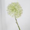 Cabelo de dente-de-leão de simulação plantio de cebola bola casamento fotografia flor de renda decoração de casa arranjo de flores ornamentos florais