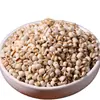 Nuevo Cebada Glutinosa de Guizhou, Granos de Cebada Fresca, Arroz Nuevo, Cereales de Cinco Granos, Semillas de Cebada Fresca para Sopa y Gachas, Al por Mayor