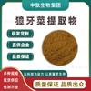 Extracto de Ginseng Coreano 10:1 Polvo de Ginseng Coreano Soluble en Agua Extracto de Polvo de Ginseng Coreano Grado Alimenticio Listo para Enviar