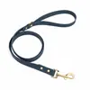 Set de Collar y Correa para Gato y Perro de Color Sólido de PVC, Set de Dos Piezas Impermeable y Resistente a la Suciedad para Mascotas, Personalizable desde la Fábrica de Origen