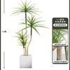 Planta Verde de Simulación Madera Milenaria Planta Falsa Lujo Ligero de Gama Alta Decoración de Interiores Árbol Sala de Estar Grande en Maceta Adornos de Piso