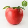 Fruta de Simulação de Maçã Falsa Maçã Vermelha Decoração de Casa Decoração de Educação Infantil Adereços Fotografia de Vitrine Modelo de Plástico Decoração