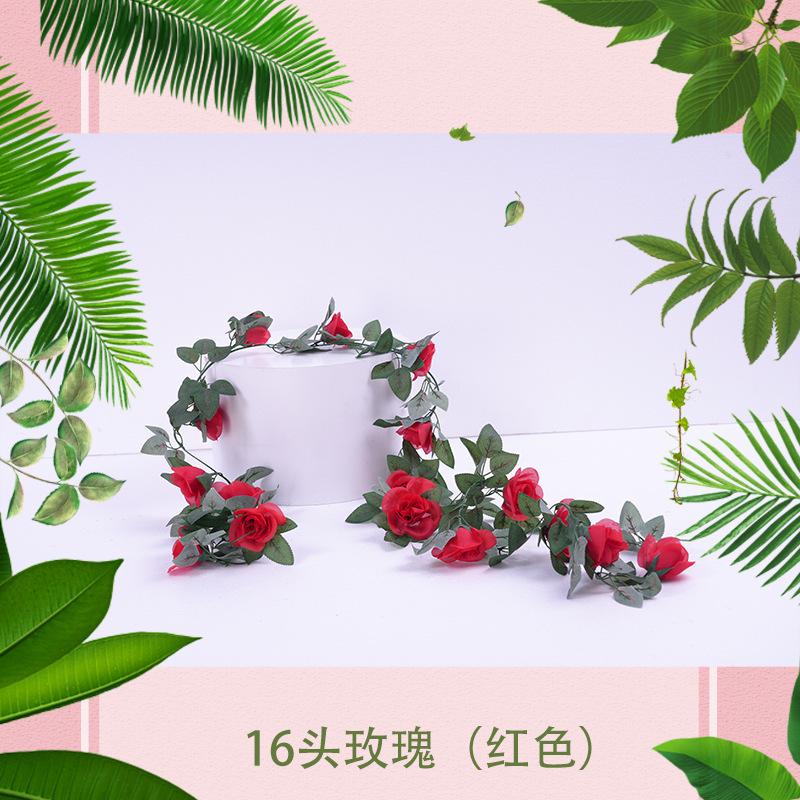 16头玫瑰（红色）1