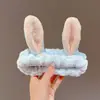 Diadema de Peluche Estilo Celebridad para Lavado Facial de Mujer, Diadema Fresca Estilo Coreano, Accesorio para el Cabello de Dibujos Animados Lindo para Otoño e Invierno