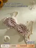 Lingerie Sexy com Renda Estampada de Leopardo para Mulheres com Seios Pequenos Push-up Faz os Seios Parecerem Maiores Decote em V Profundo com Recorte em Tela Costas Bonitas Sutiã Sem Fio