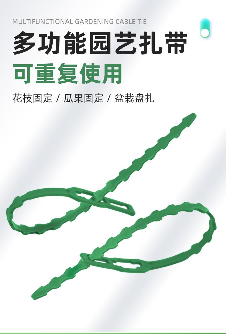 详情_01.jpg