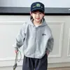 Chaqueta de Primavera para Niños 2026 Nueva Elegante Sudadera con Capucha para Bebé Ropa de Primavera y Otoño para Niños Estilo Coreano Sudadera Cardigan