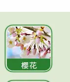 日用香精系列明细_05.jpg
