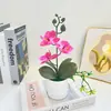 Planta Artificial de Orquídea Phalaenopsis en Maceta de Película, Accesorios para Fotografía, Decoración Simple para Sala de Estar del Hogar, Planta Verde, Maceta, Adorno