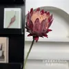 Cardo nórdico peonía artificial flocado de alta calidad suave decoración ramo floral para decoración del hogar, boda y fotografía