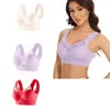 Conjunto de 3 Piezas Transfronterizo Talla Grande Sin Alambres Chaleco de Encaje Ropa Interior Delgado Recoge Lado Pecho Push-Up Sujetador Ajustable Fabricante