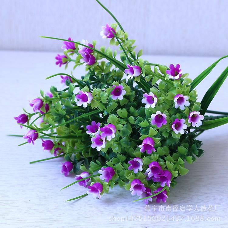 IMG_3964.png