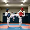 Equipo de protección de Taekwondo sumergido en NBR personalizado al por mayor juego de protección para entrenamiento: protector de cabeza, protector de pierna, protector de mano, protector de pie, armadura