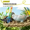Rede Pendurada Plataforma Tecida de Palha Brinquedo para Papagaio Pássaro Rede de Escalada para Pequenos Animais Decoração de Gaiola de Pássaro Tecida Rede para Dormir de Répteis Corda de Palha