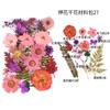 Bolsa de Flores Secas para Manualidades con Flores en Relieve, Marcapáginas de Flores en Relieve, Bolsa de Flores en Relieve, Material para Pintura en Relieve, Pegamento para Flores Reales, Hojas Secas