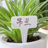 Etiquetas de Jardinagem Espessadas em Forma de T 100 À Prova d'Água e Protetor Solar Coloridas de Plástico para Flores Plantas Vasos de Suculentas Inserções de Nome de Flor