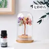 Botella de los Deseos de Cristal Natural Árbol del Dinero Árbol de Grava de Cristal Morado Amarillo Rosa Adornos de Escritorio de Oficina Artesanías de Cristal