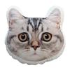 Manta Almofada Dois em Um Impressível Gato Cachorro Pet Almofada Foto Logo Soneca Abraço Empresa Presente Promocional Corporativo
