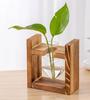 Jarrón de Cristal Hidropónico con Marco de Madera Creativo para Plantas Verdes, Adecuado para Decoración de Escritorio de Oficina y Hogar, Moderno y Sencillo