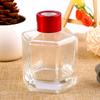 Botella Vacía de Aromaterapia Decoración para Coche Perfume Ratán Sin Llama Flor Seca Pequeña Botella de Vidrio de Fragancia Venta al por Mayor Cristal Pequeña Capacidad