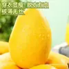Mango Hainan Xiaotainong 5 kg Recién Cogido Mango Xiaotainong, una Especialidad Frutal Tropical de Temporada, Envío Gratis5
